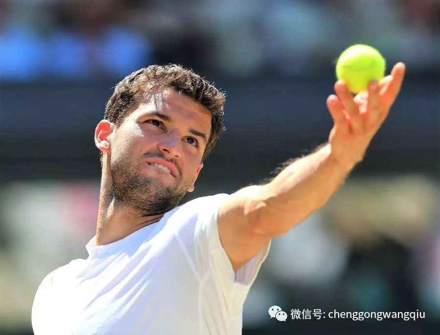 而郑智和保 而郑智和保