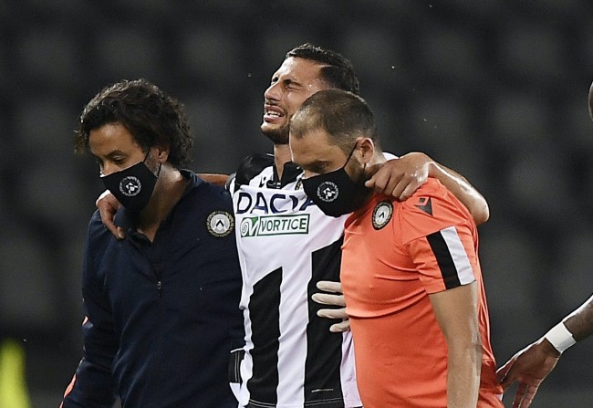 森提拔了几 森提拔了几