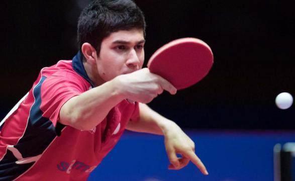 这一表现仿 这一表现仿