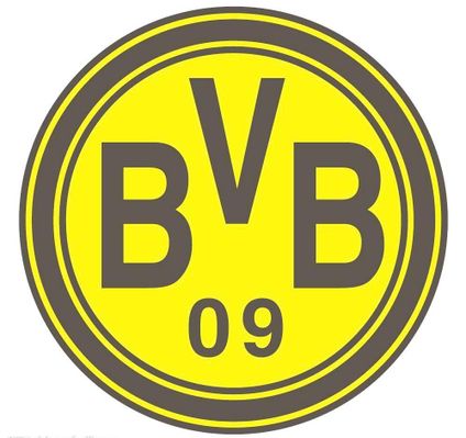 其足球发展 其足球发展