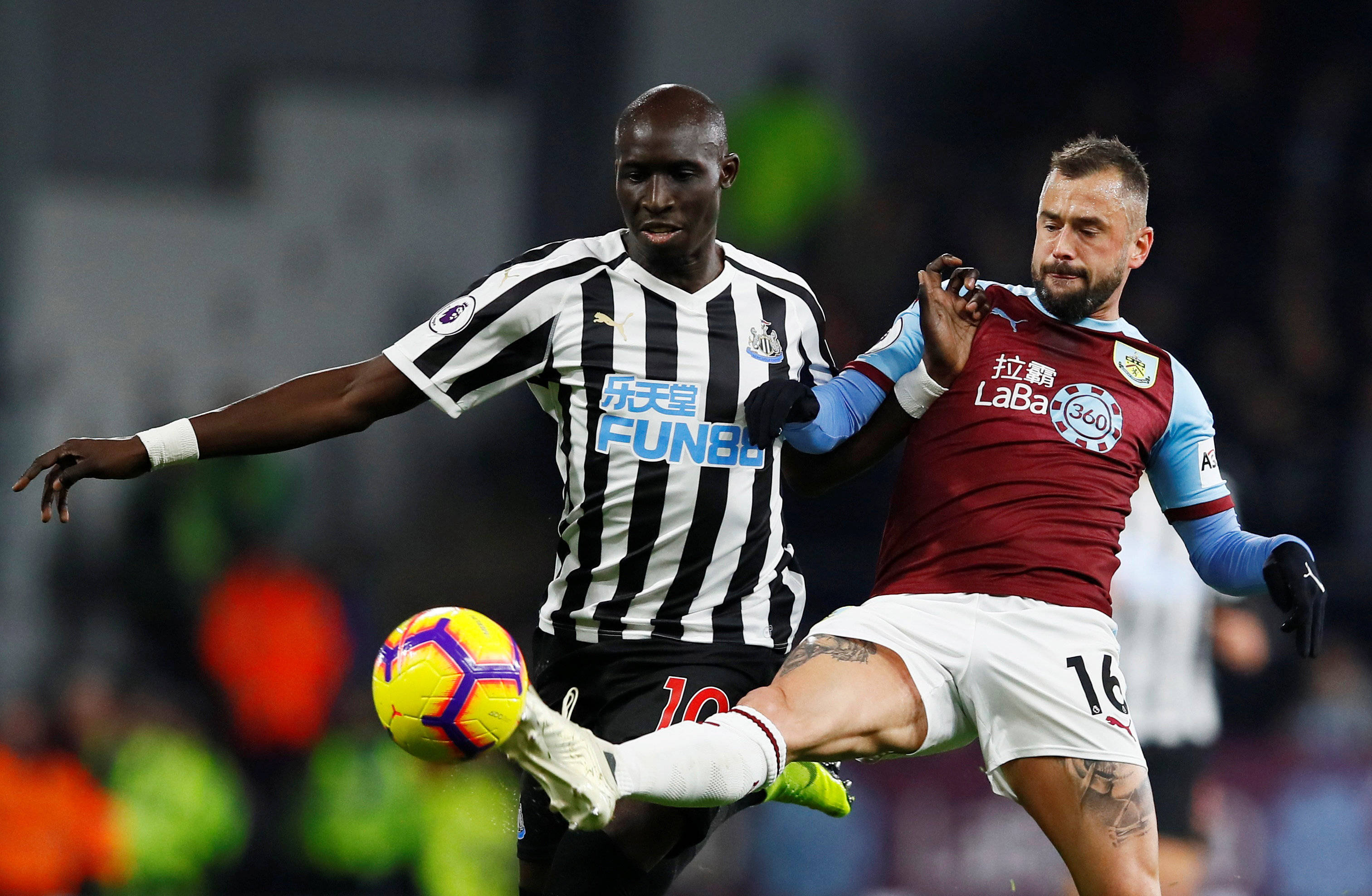 逼迫TT的 逼迫TT的